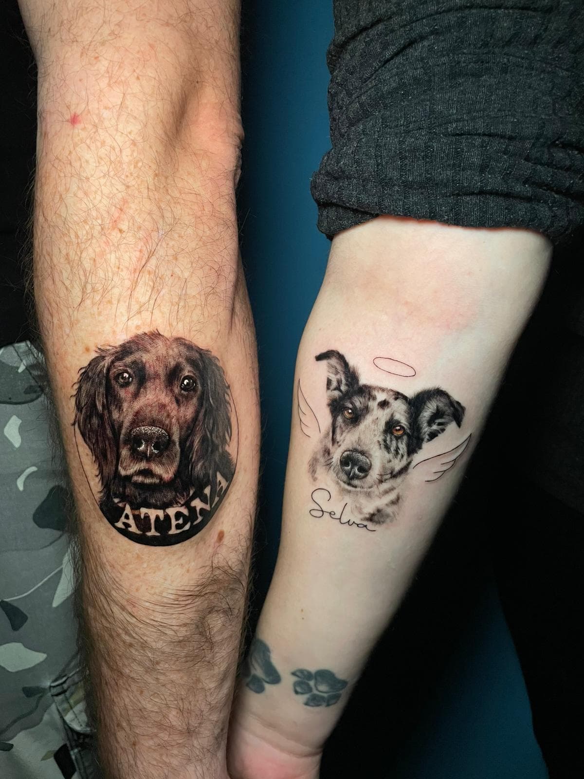 Retratos de perros