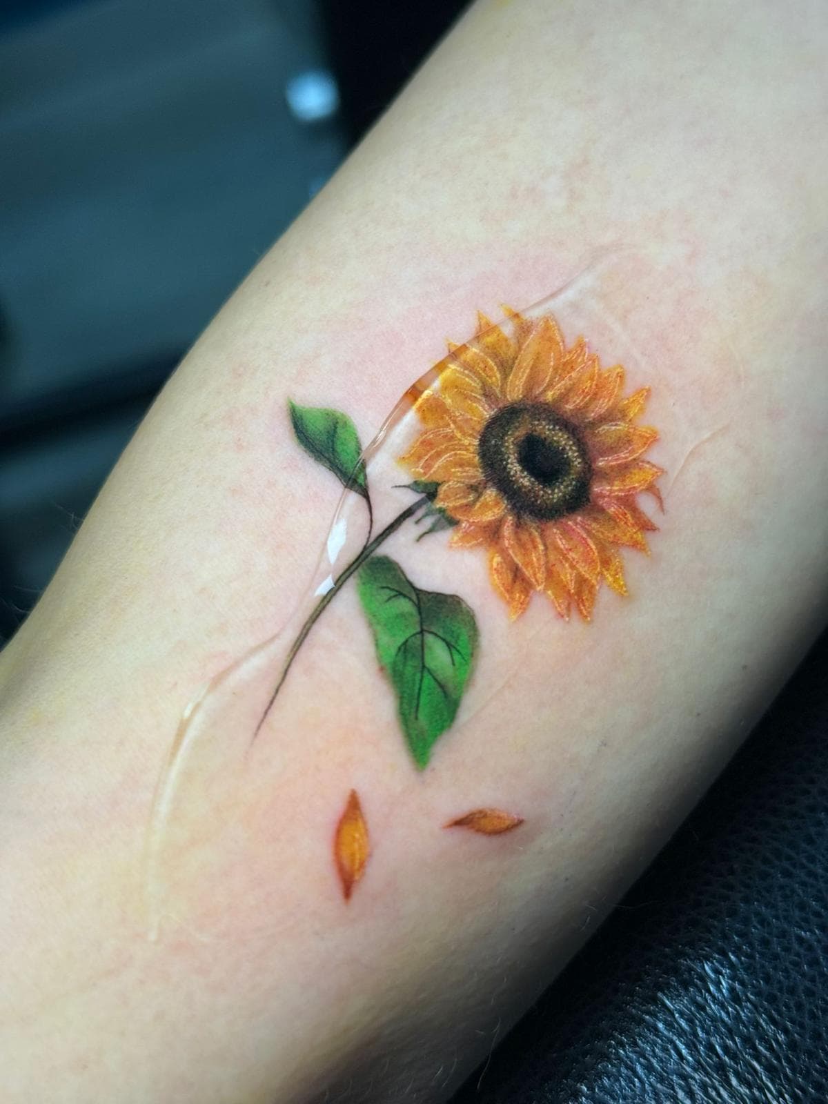 Girasol