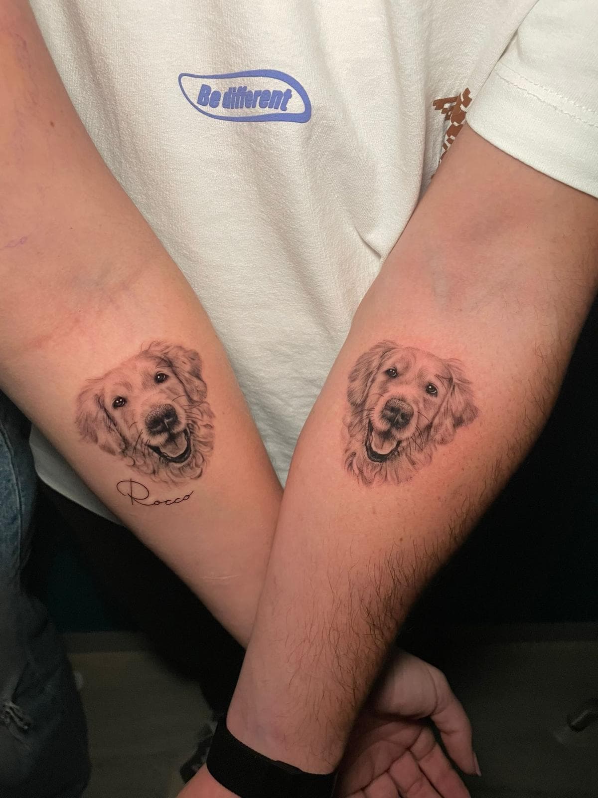Perros