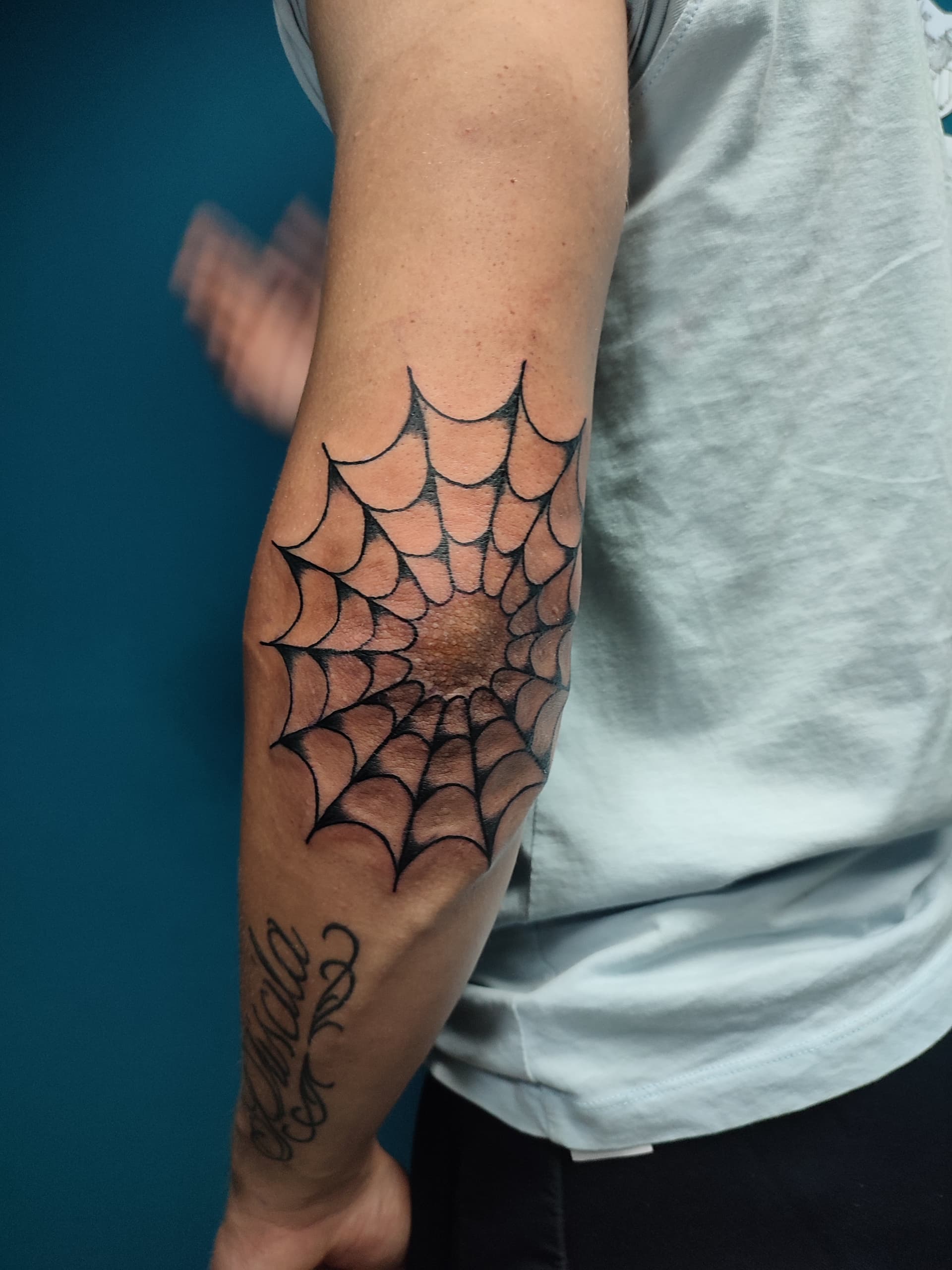 Telaraña