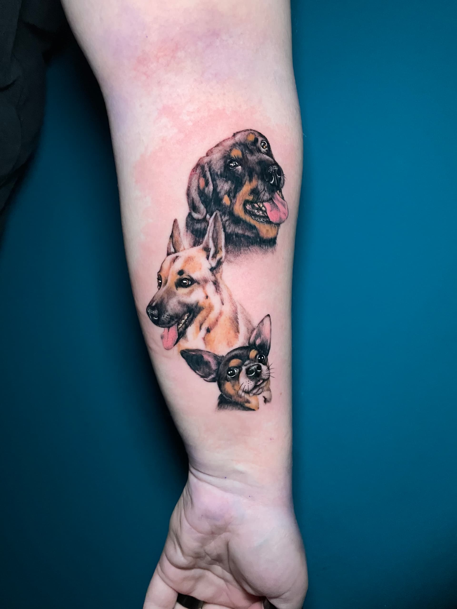 Tres perros