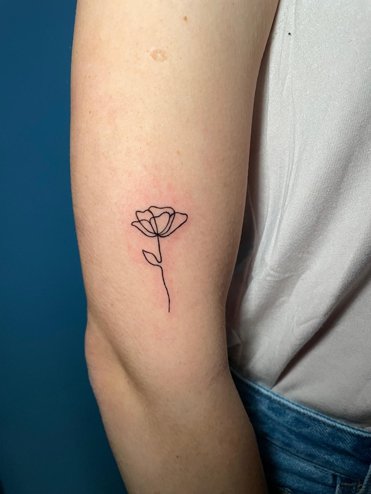 Rosa
