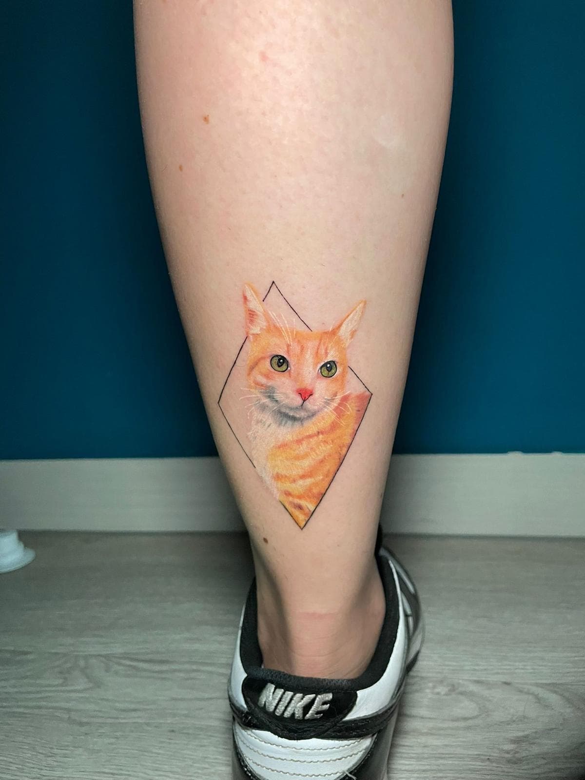 Gato geométrico