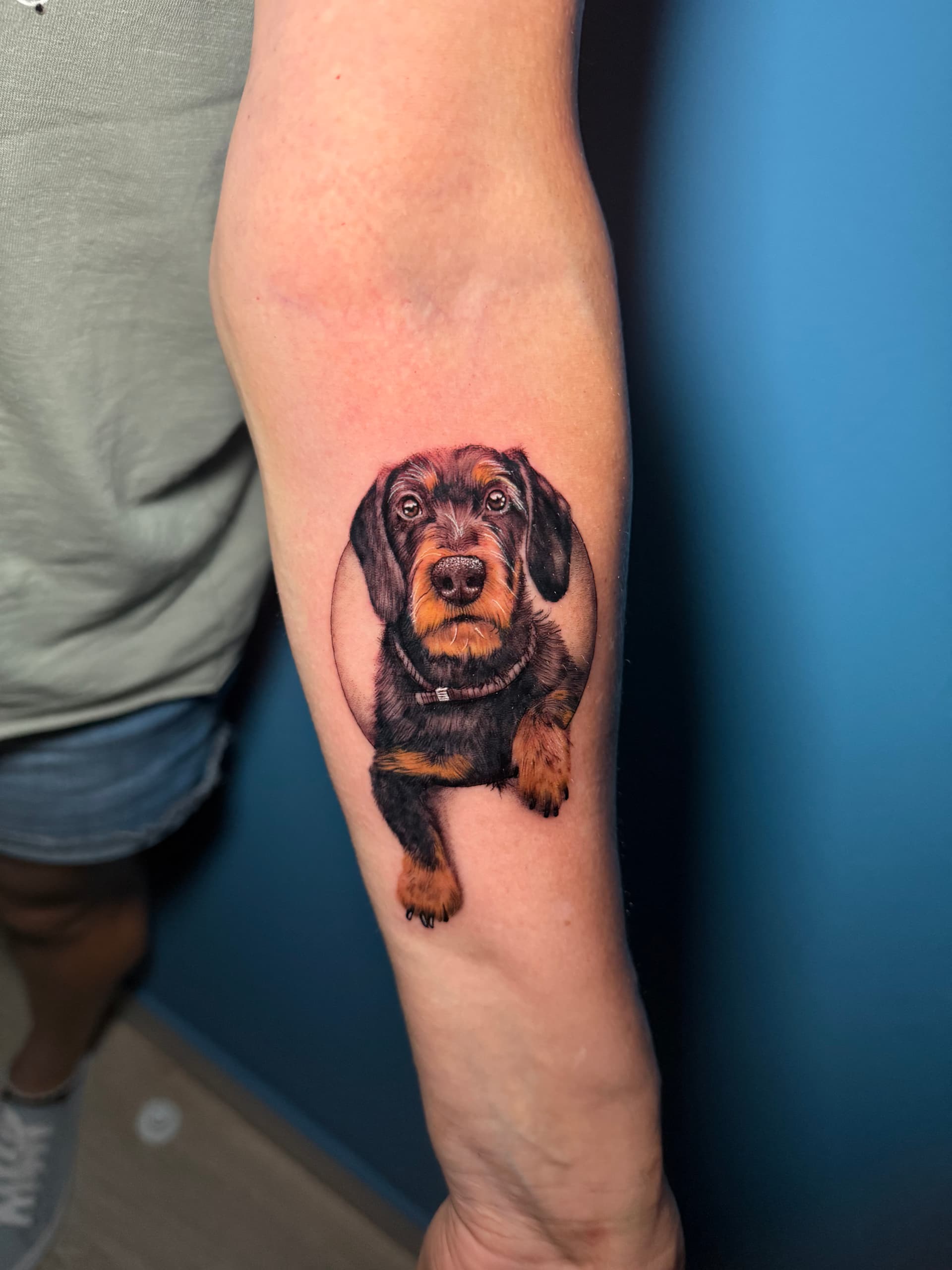 Perro