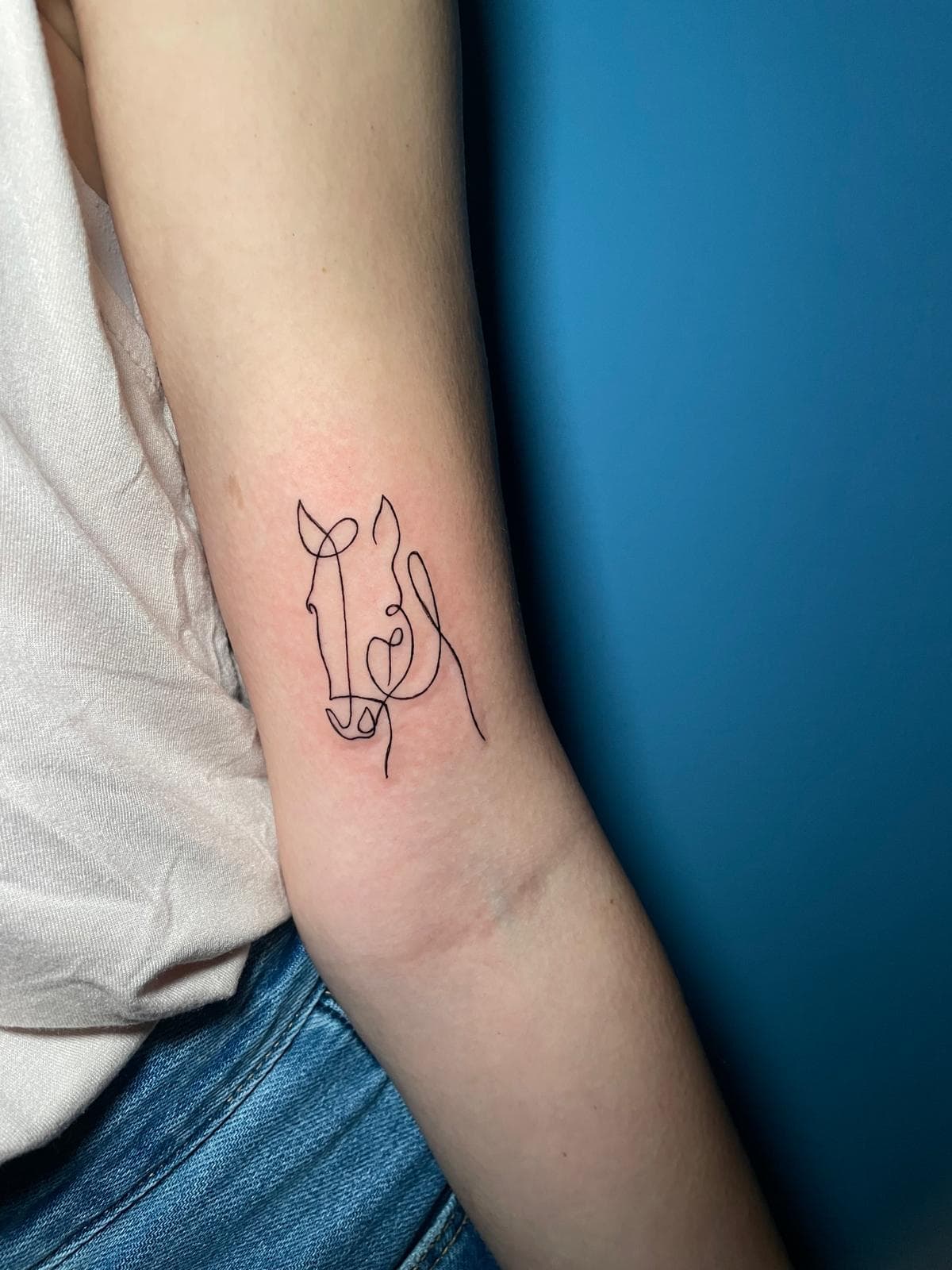 Gato de línea fina