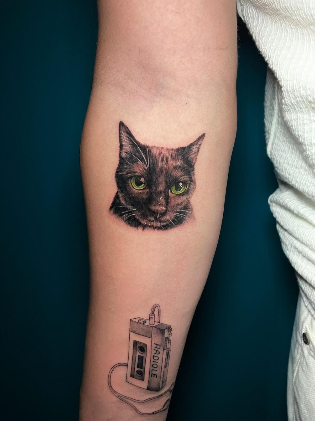 Gato negro