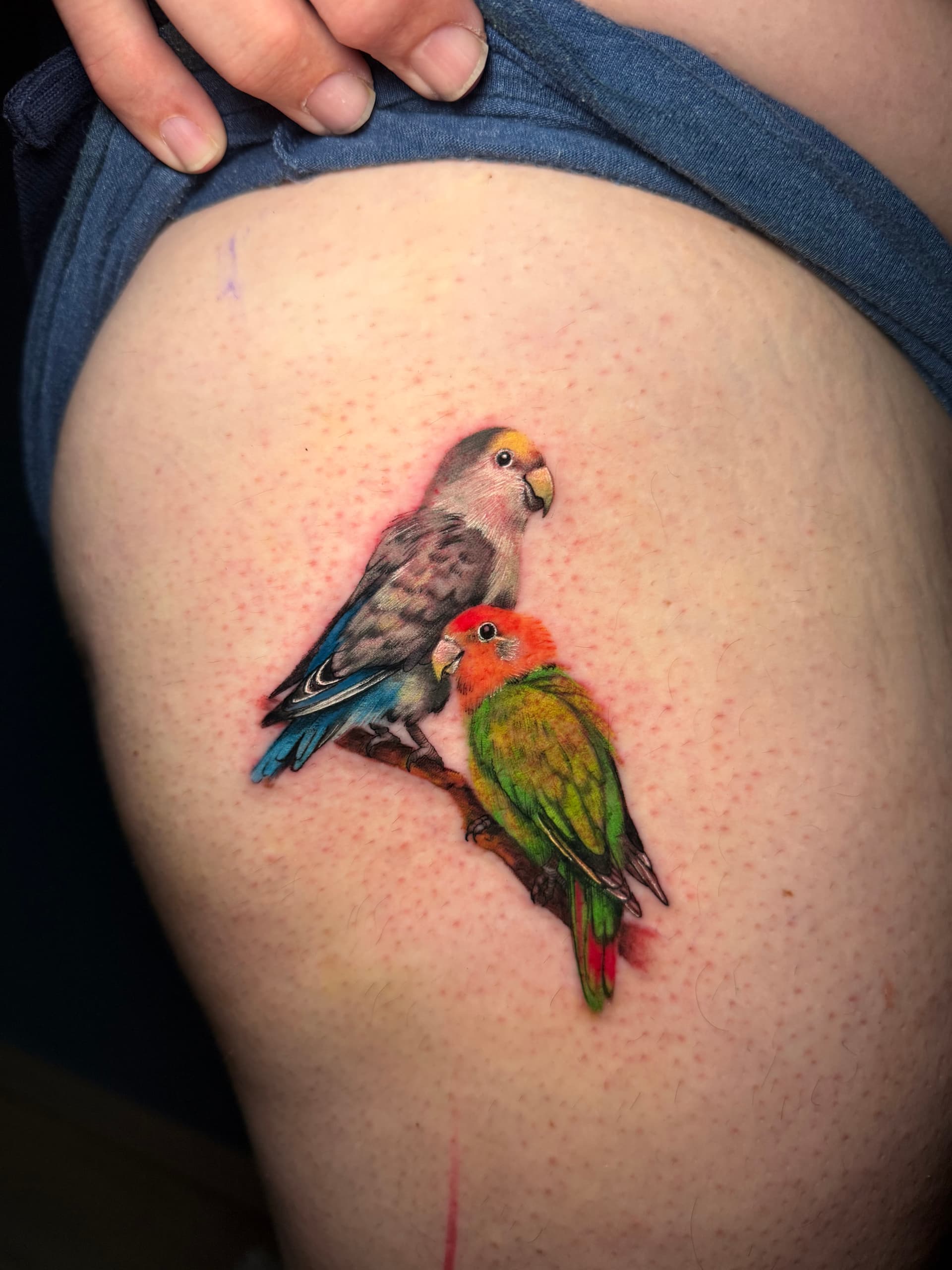 Dos pájaros
