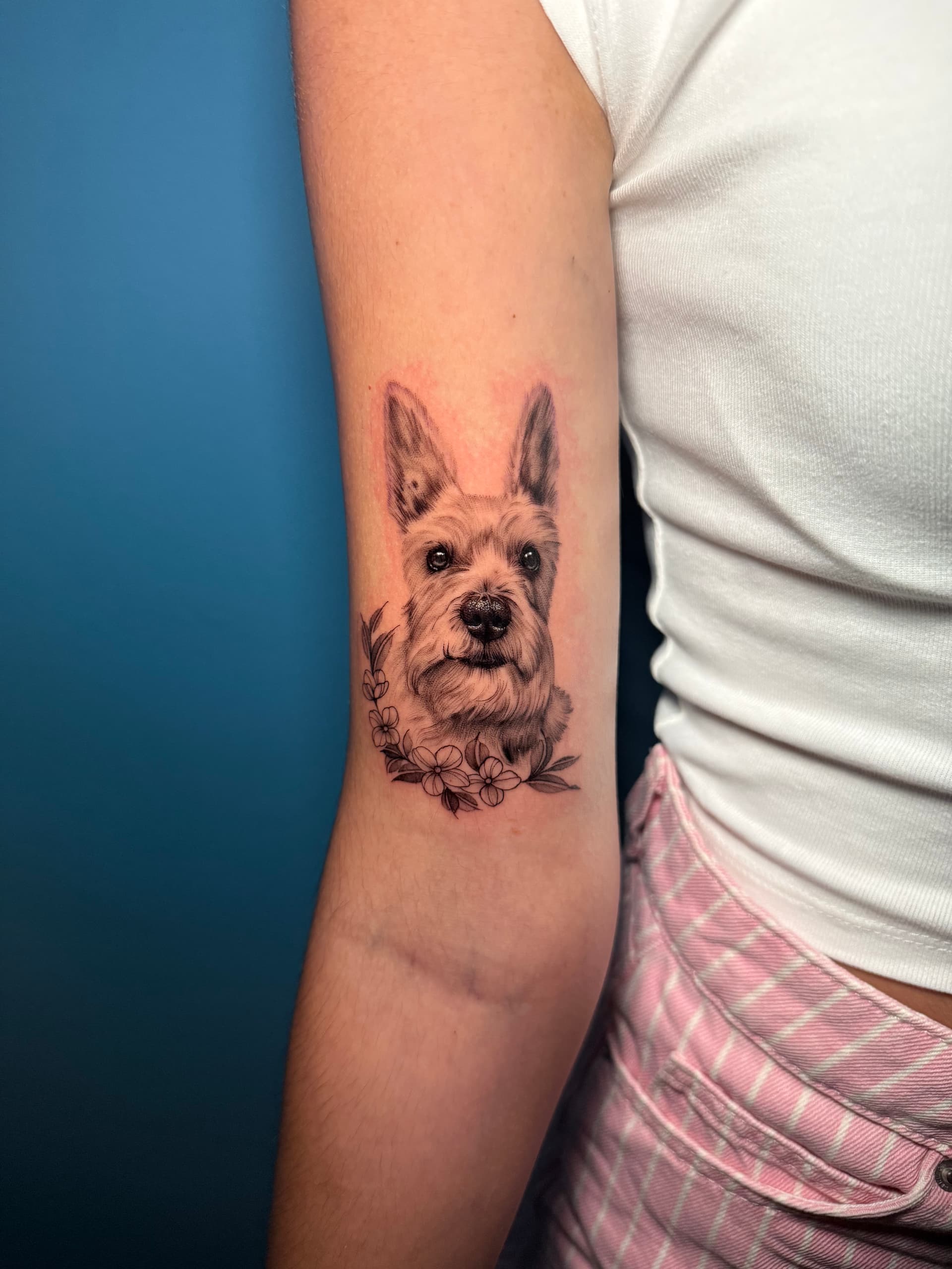 Perro pequeño