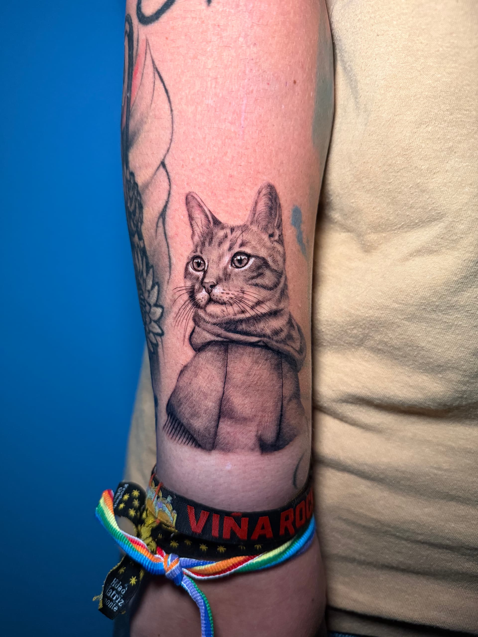 Gato con ropa