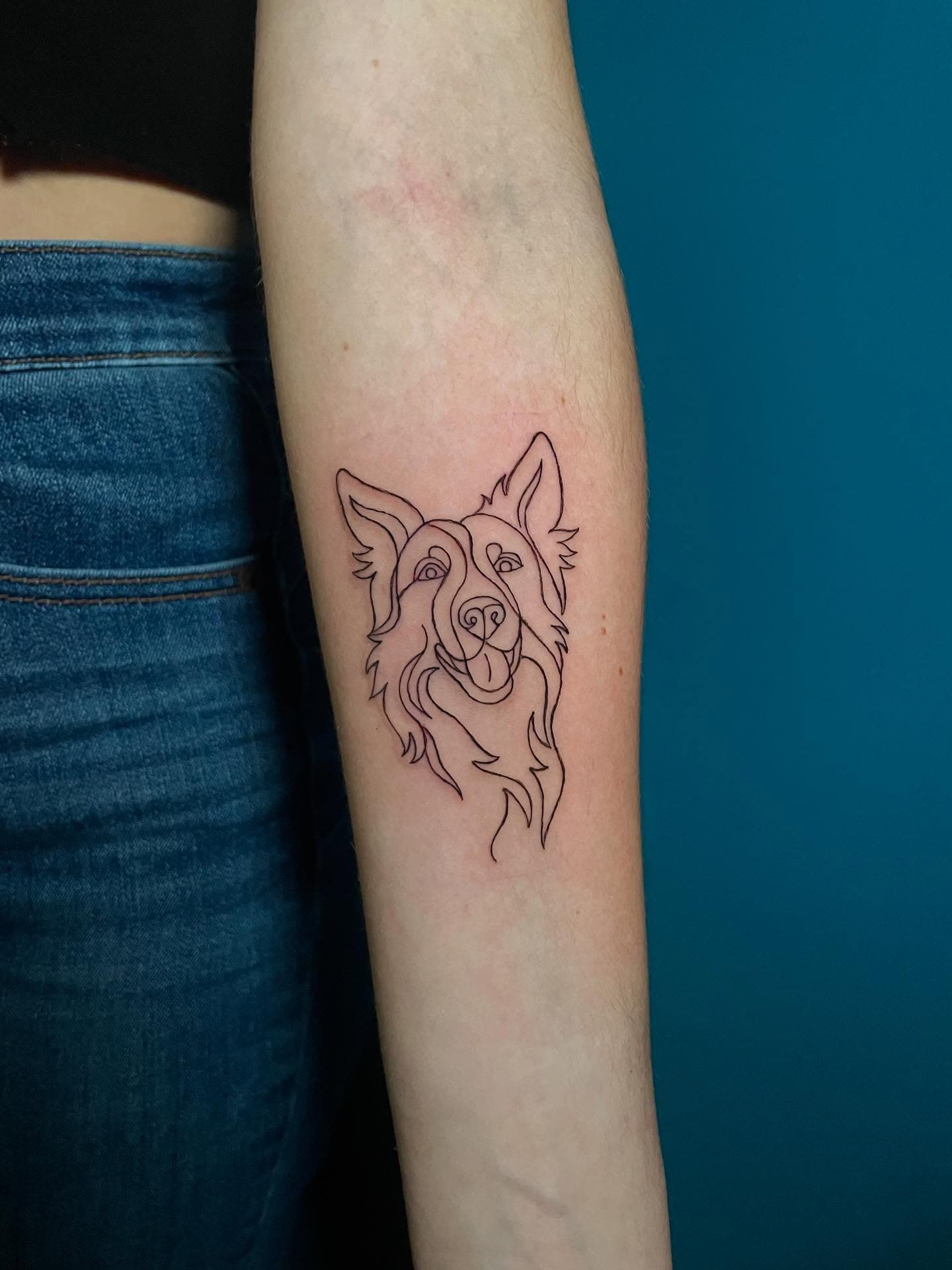 Cabeza de perro